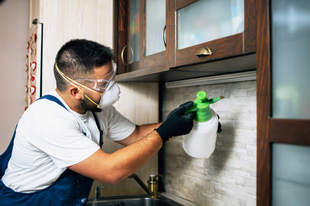 Best Pest Control for Homes  in Troy, TN