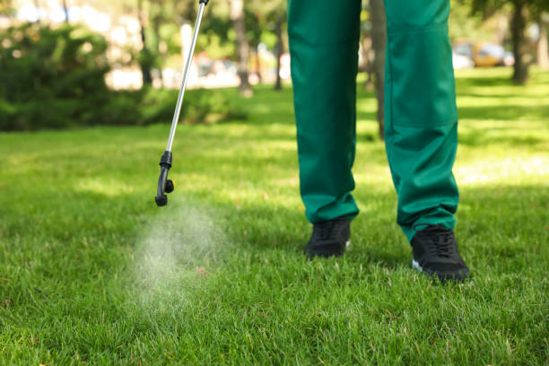 Best Rat Extermination Near Me  in Troy, TN