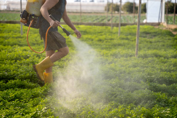 Best Residential Pest Control  in Troy, TN