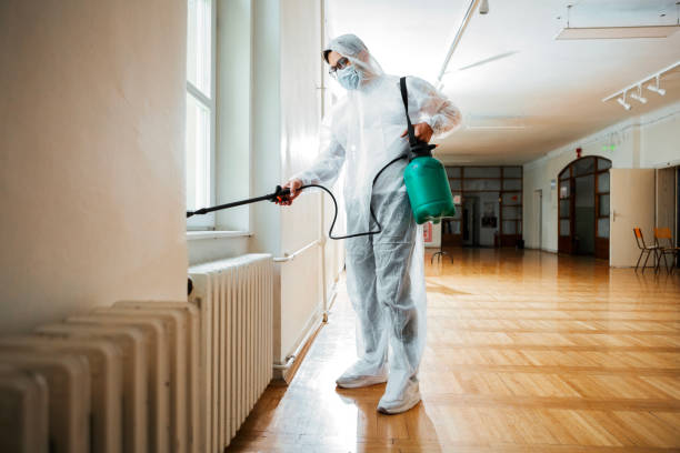 Wasp Removal Services in Troy, TN