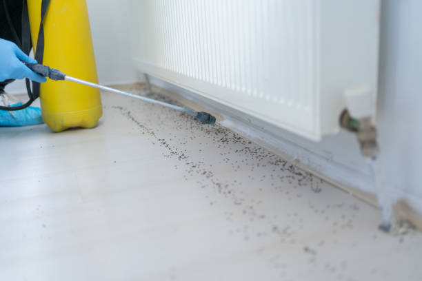 Best Residential Pest Control  in Troy, TN