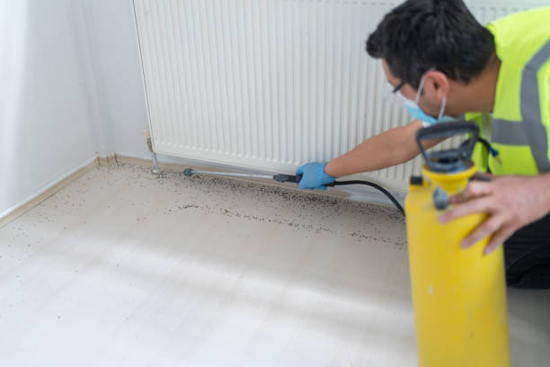 Best Mosquito Control Services  in Troy, TN