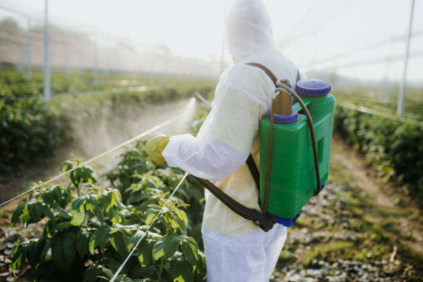 Best Wasp Removal Services  in Troy, TN